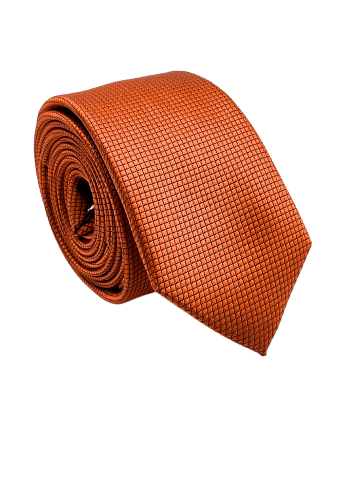 Corbata Tie - 2202 - Imagen 2